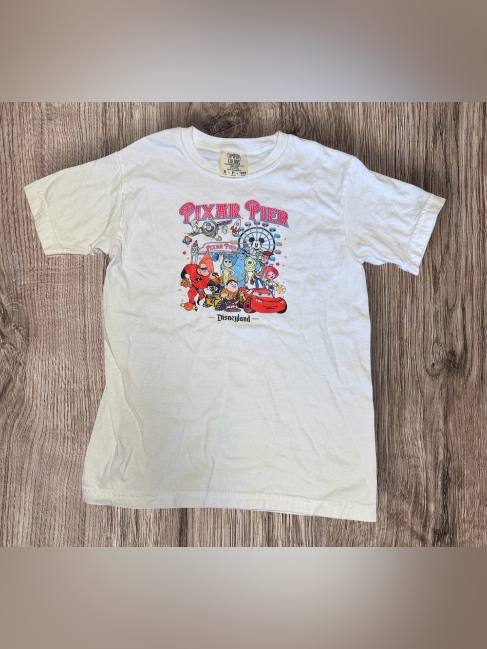 EUC Disneyland Castle Pixar Fest 2024 Comfort colors Shirt